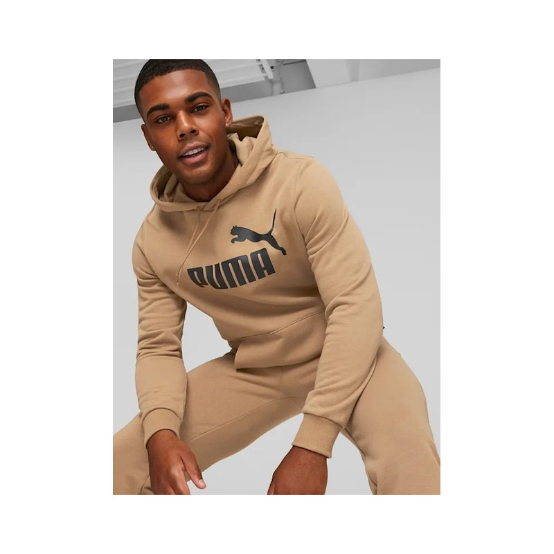 Puma Sweat com Capuz Essentials Big Logo Fleece